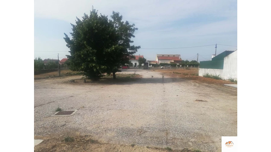 Negócio para Venda em Cebolais de Cima e Retaxo Foto 25