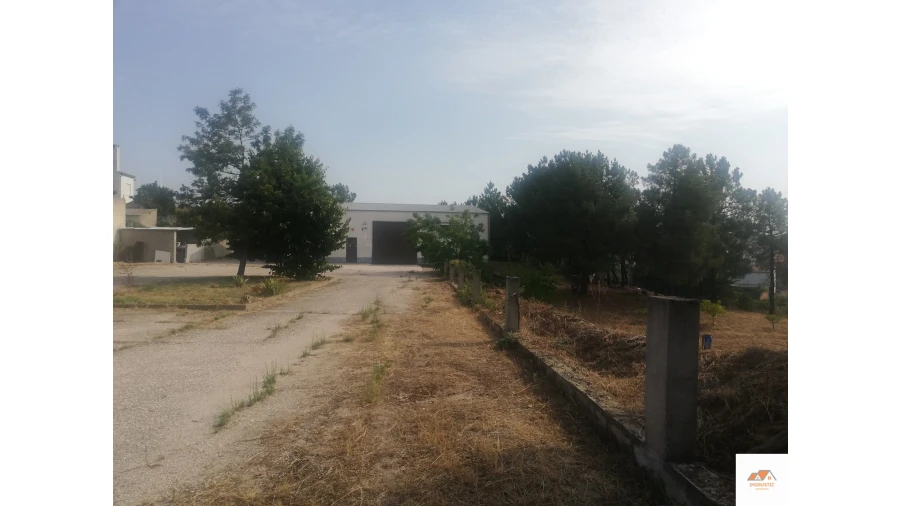 Negócio para Venda em Cebolais de Cima e Retaxo Foto 2