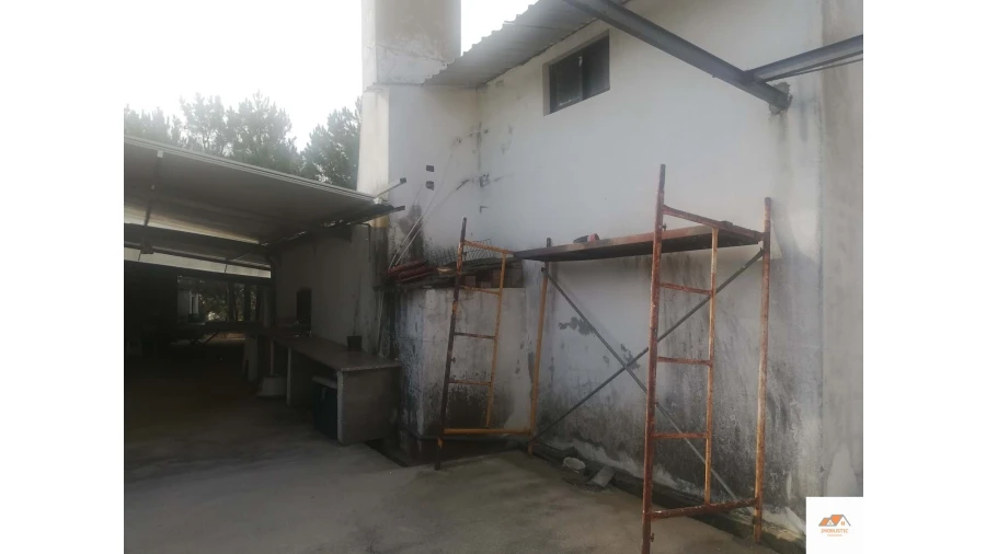 Negócio para Venda em Cebolais de Cima e Retaxo Foto 13