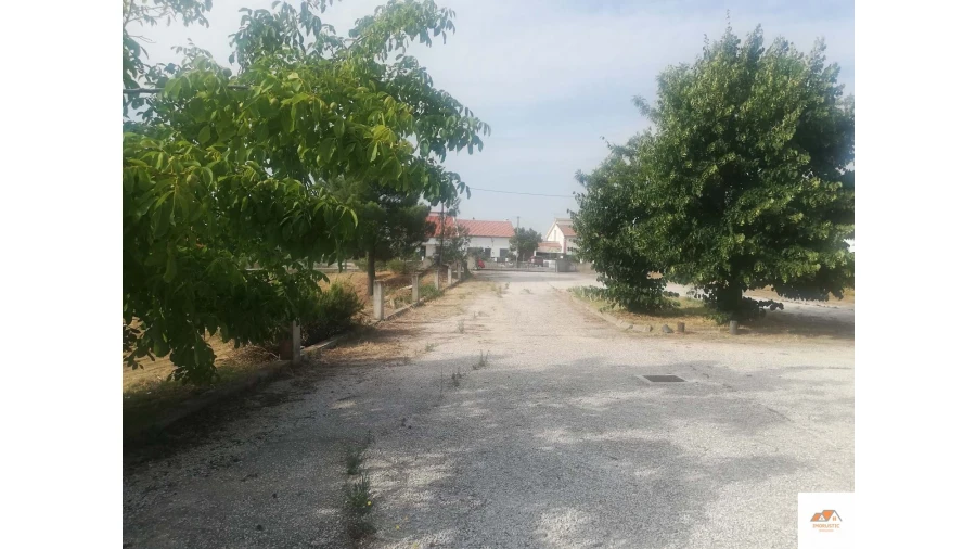 Negócio para Venda em Cebolais de Cima e Retaxo Foto 24