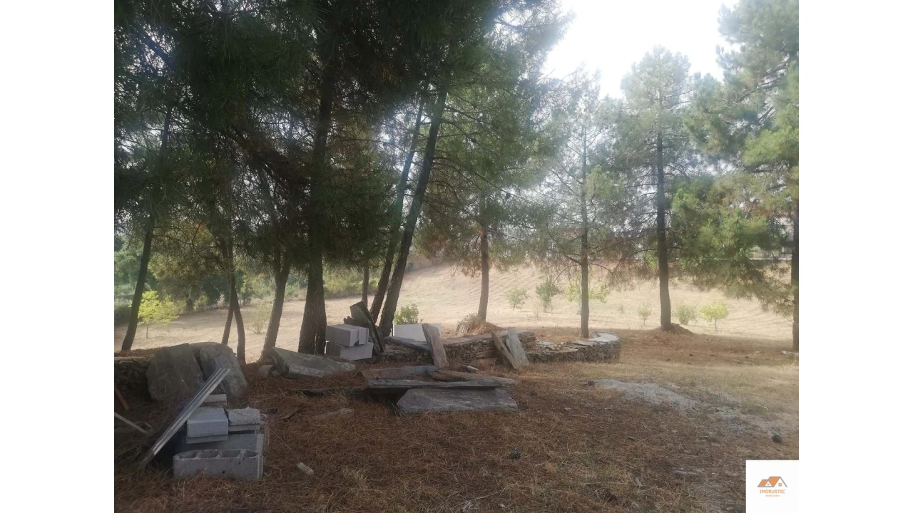 Negócio para Venda em Cebolais de Cima e Retaxo Foto 19