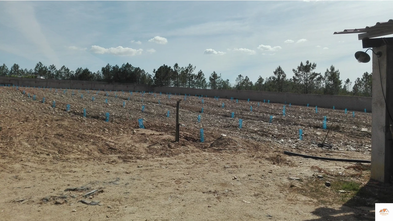 Quinta T3 para Venda em Benquerenças Foto 20