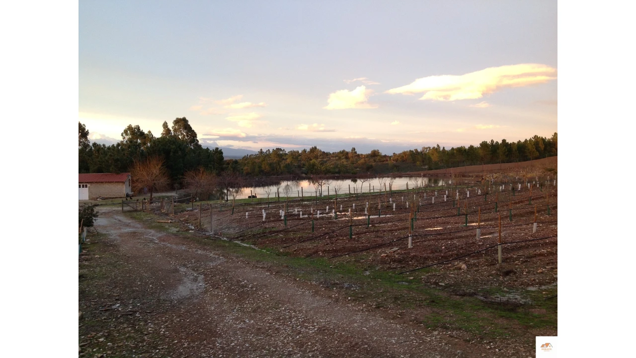 Quinta T3 para Venda em Benquerenças Foto 28