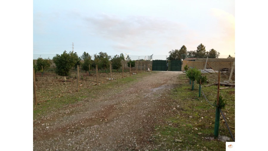 Quinta T3 para Venda em Benquerenças Foto 27