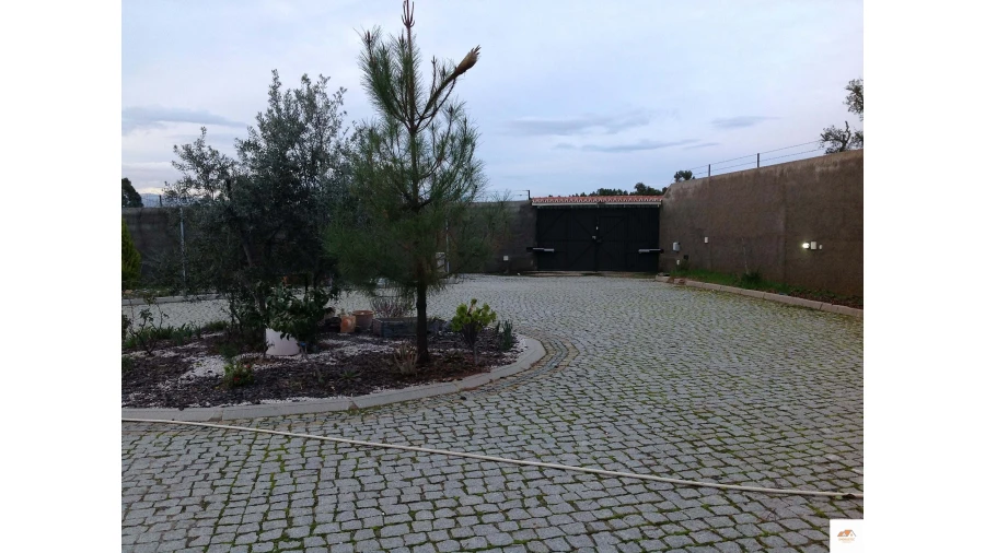 Quinta T3 para Venda em Benquerenças Foto 9