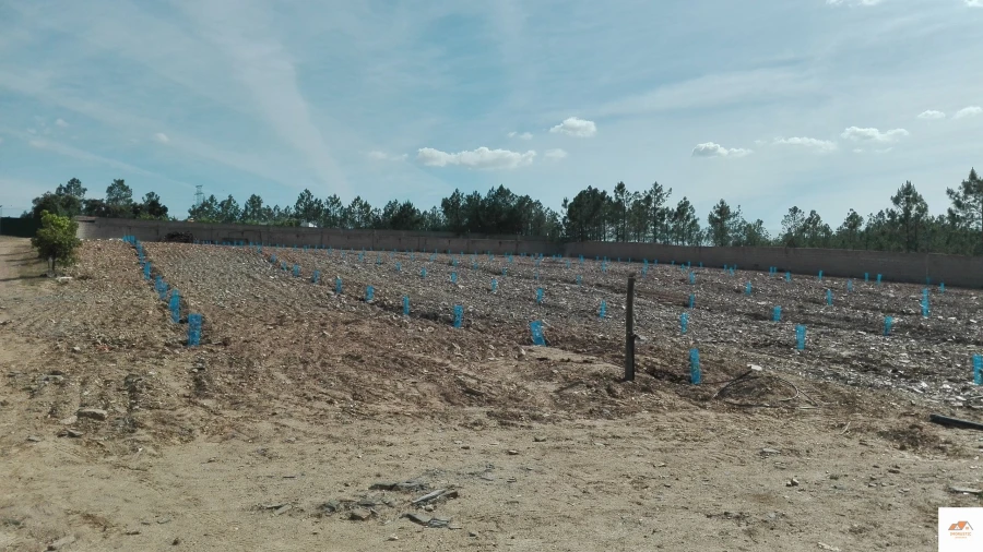 Quinta T3 para Venda em Benquerenças Foto 19