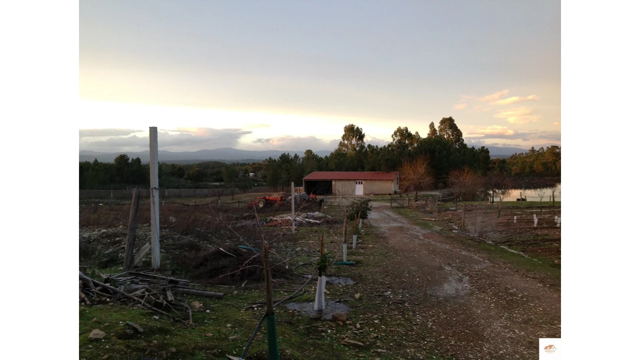 Quinta T3 para Venda em Benquerenças Foto 23
