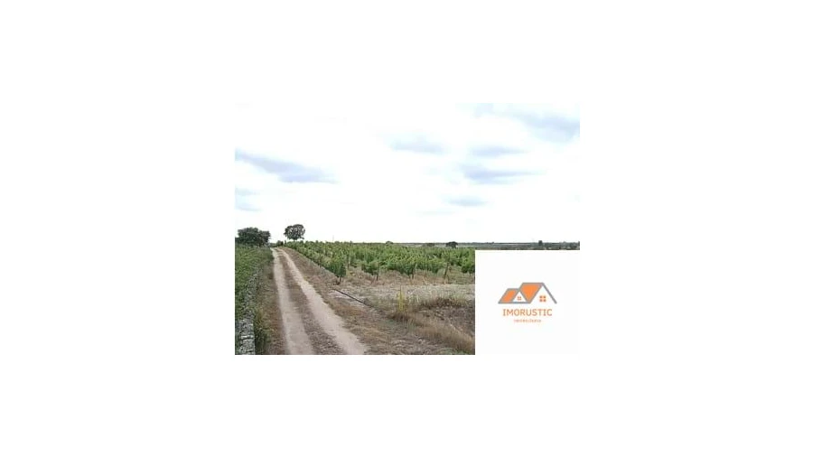 Quinta para Venda em Espírito Santo, Nossa Senhora da Graça e São Simão Foto 21