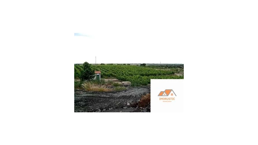 Quinta para Venda em Espírito Santo, Nossa Senhora da Graça e São Simão Foto 13