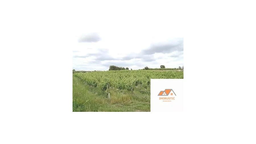 Quinta para Venda em Espírito Santo, Nossa Senhora da Graça e São Simão Foto 15