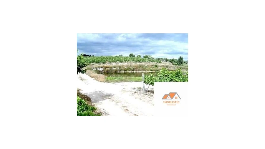 Quinta para Venda em Espírito Santo, Nossa Senhora da Graça e São Simão Foto 3