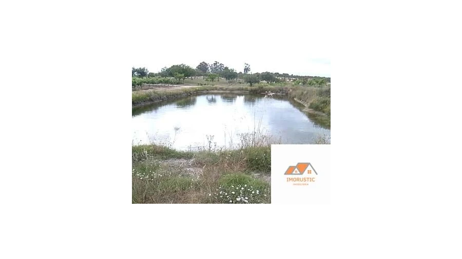 Quinta para Venda em Espírito Santo, Nossa Senhora da Graça e São Simão Foto 5