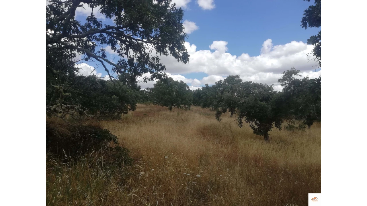 Quinta para Venda em Nossa Senhora da Graça de Povoa e Meadas Foto 10