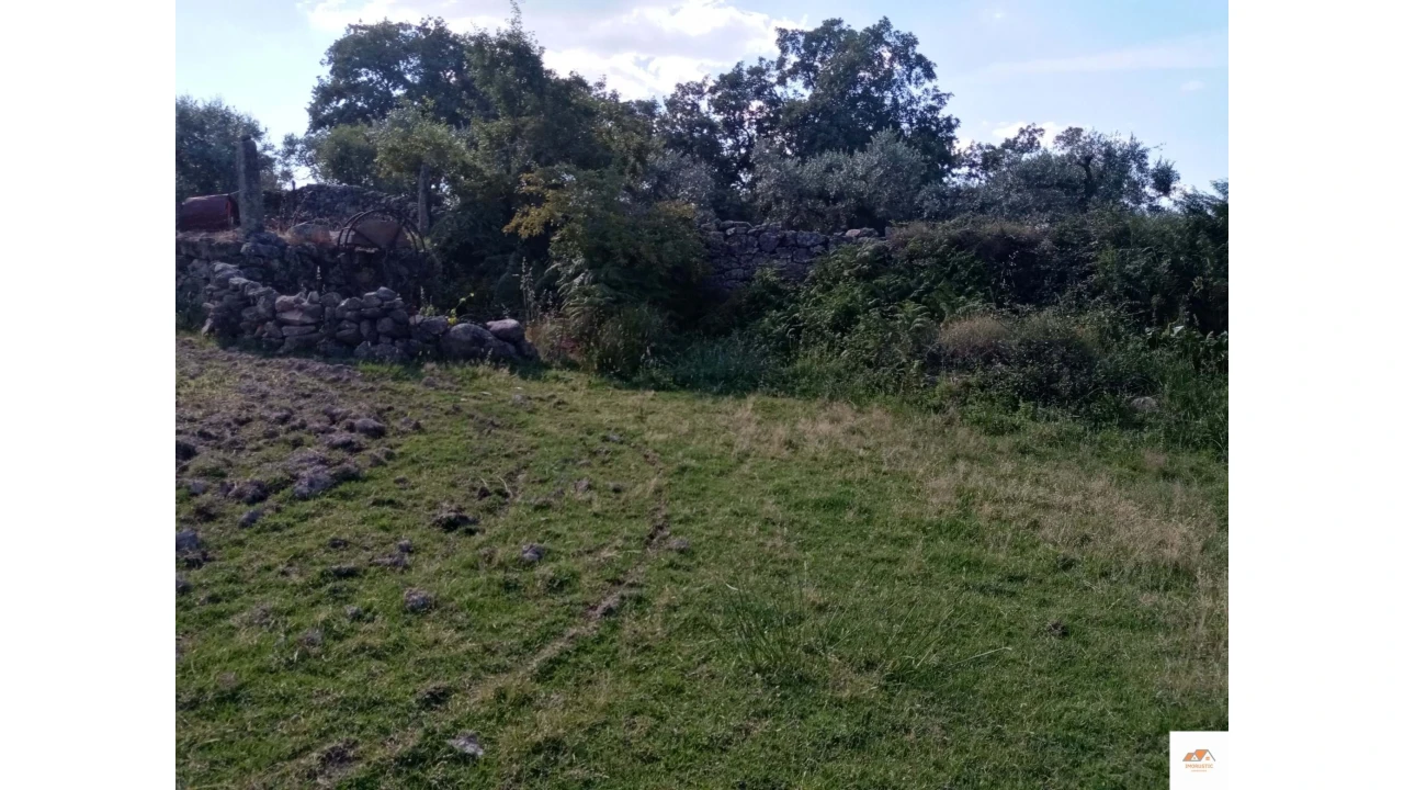 Quinta para Venda em Nossa Senhora da Graça de Povoa e Meadas Foto 15