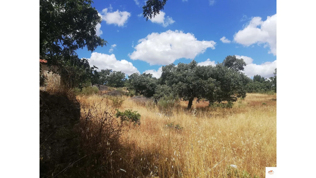Quinta para Venda em Nossa Senhora da Graça de Povoa e Meadas Foto 12