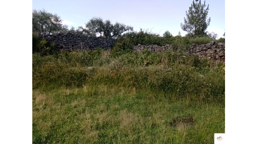 Quinta para Venda em Nossa Senhora da Graça de Povoa e Meadas Foto 14