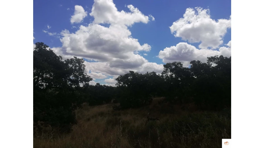 Quinta para Venda em Nossa Senhora da Graça de Povoa e Meadas Foto 6