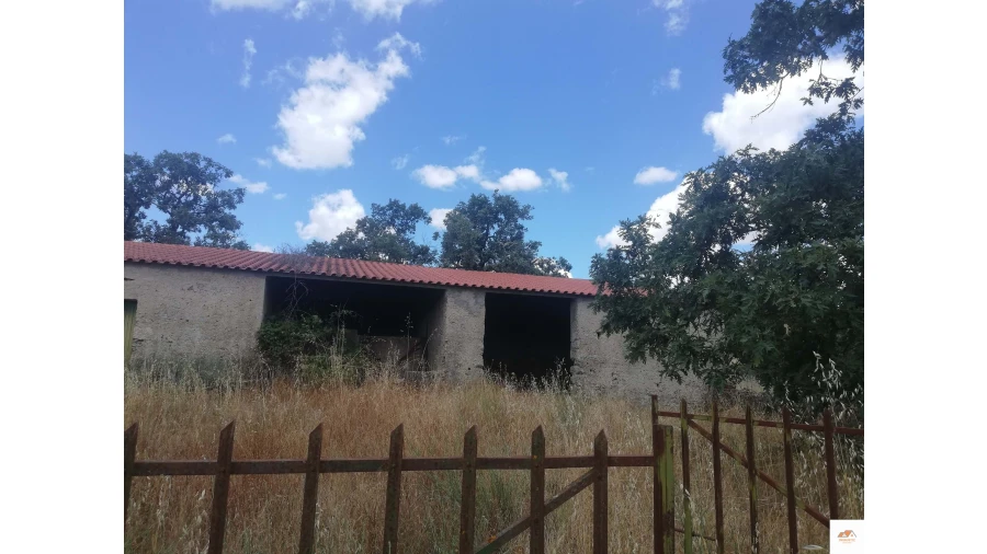 Quinta para Venda em Nossa Senhora da Graça de Povoa e Meadas Foto 3