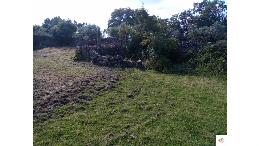 Quinta para Venda em Nossa Senhora da Graça de Povoa e Meadas Foto 16