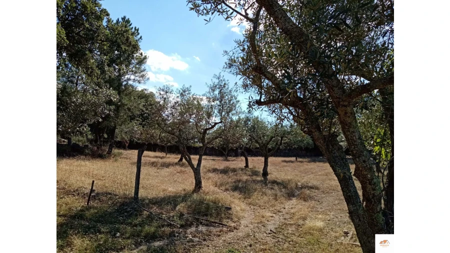 Quinta para Venda em Nossa Senhora da Graça de Povoa e Meadas Foto 17