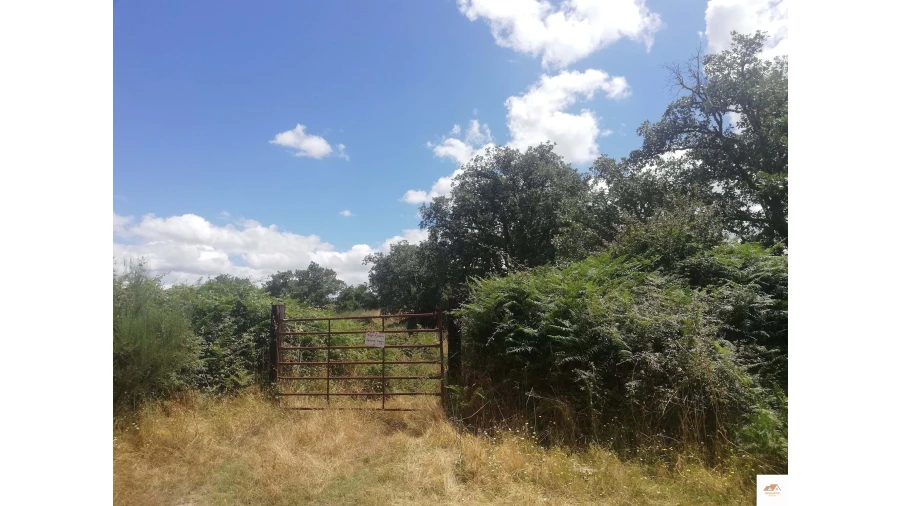 Quinta para Venda em Nossa Senhora da Graça de Povoa e Meadas Foto 5