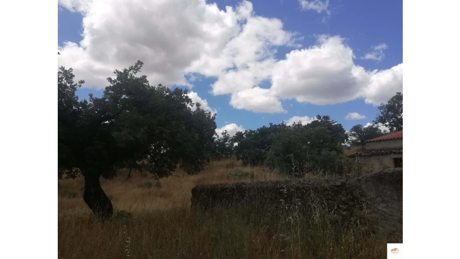 Quinta para Venda em Nossa Senhora da Graça de Povoa e Meadas Foto 9