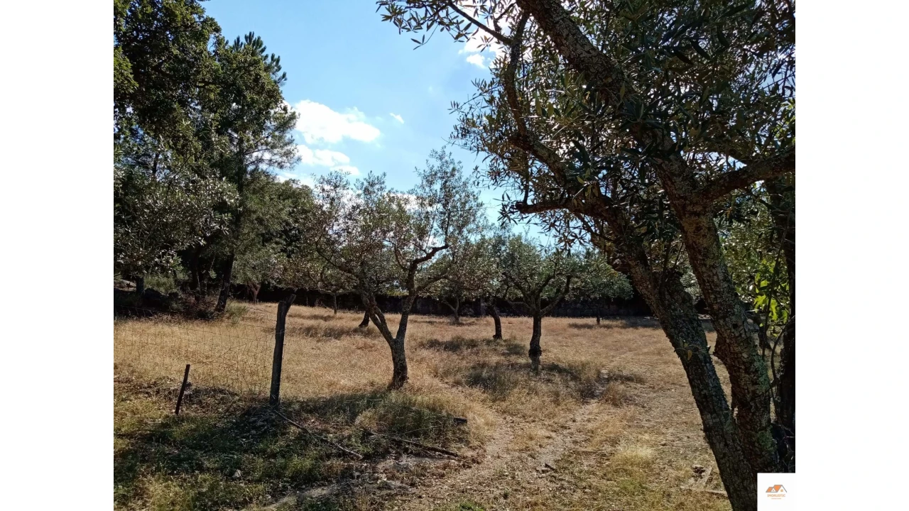 Quinta para Venda em Nossa Senhora da Graça de Povoa e Meadas Foto 17