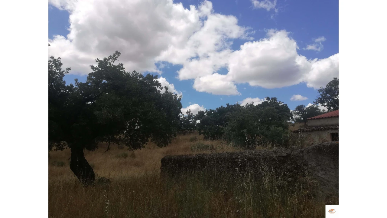 Quinta para Venda em Nossa Senhora da Graça de Povoa e Meadas Foto 9