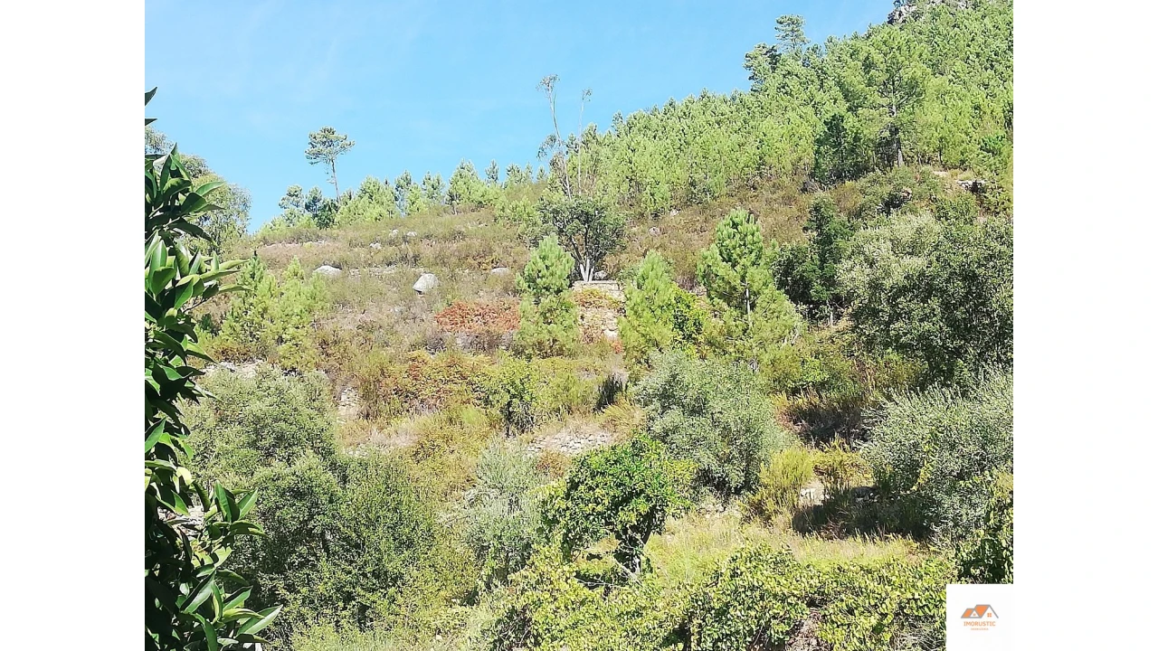 Terreno para Venda em Fratel Foto 9