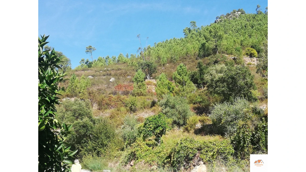 Terreno para Venda em Fratel Foto 12