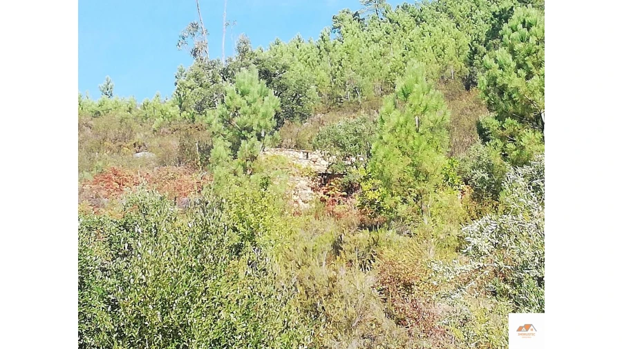 Terreno para Venda em Fratel Foto 5