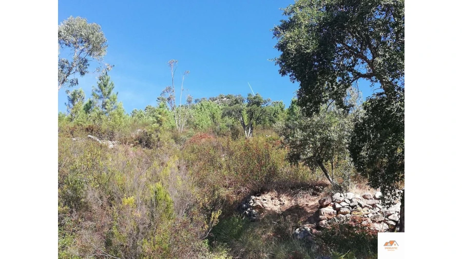 Terreno para Venda em Fratel Foto 16