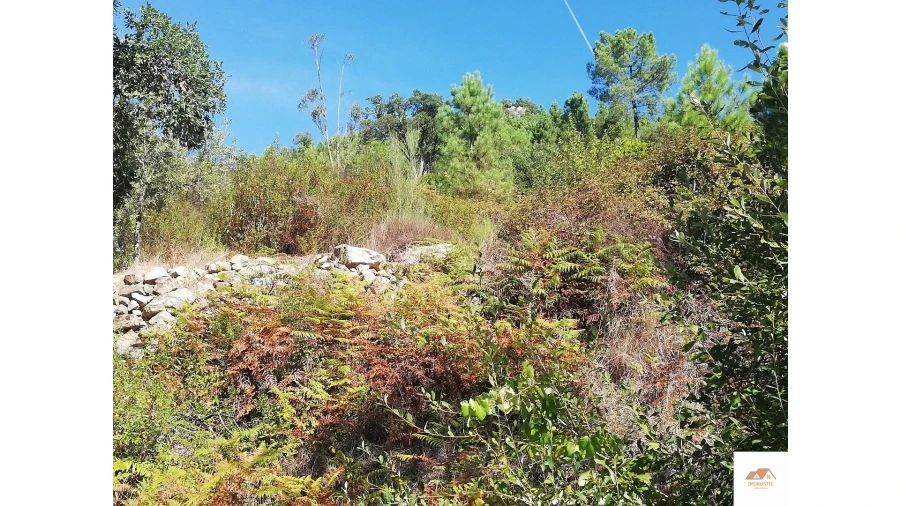 Terreno para Venda em Fratel Foto 17