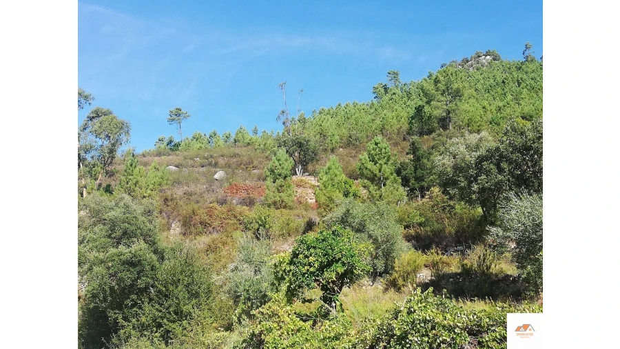 Terreno para Venda em Fratel Foto 13