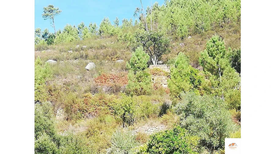 Terreno para Venda em Fratel Foto 11