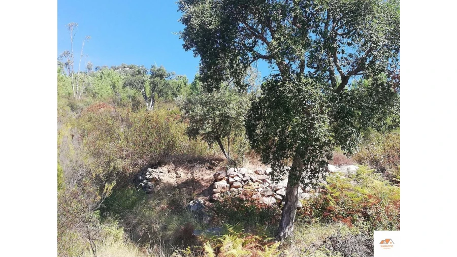 Terreno para Venda em Fratel Foto 15