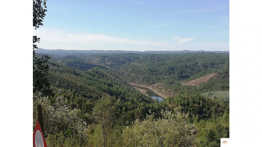Terreno para Venda em Fratel