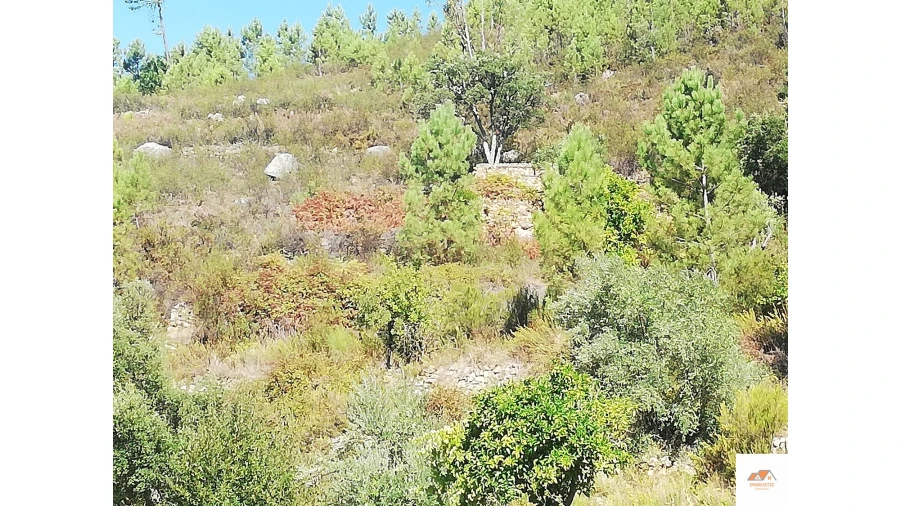 Terreno para Venda em Fratel Foto 10