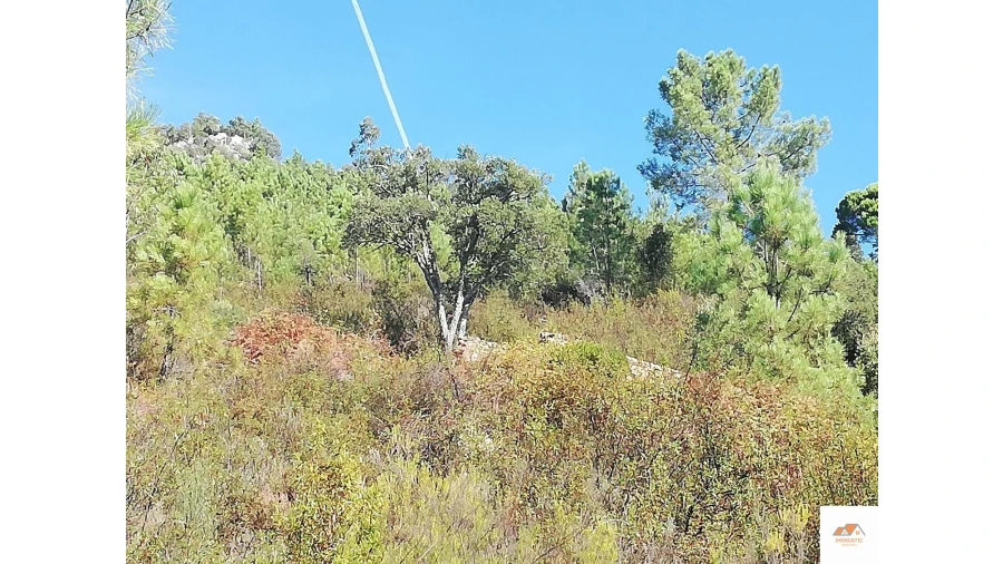 Terreno para Venda em Fratel Foto 19