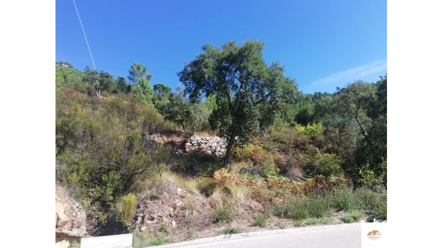 Terreno para Venda em Fratel Foto 20
