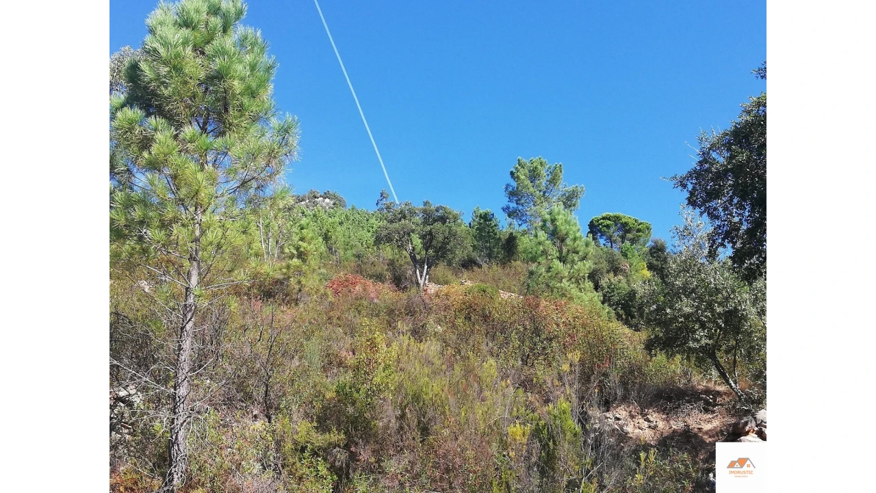 Terreno para Venda em Fratel Foto 18