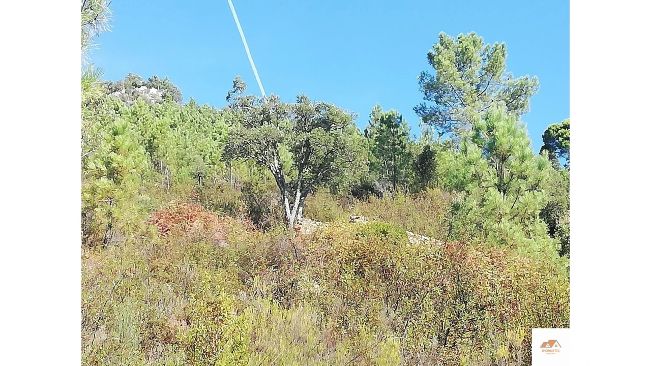 Terreno para Venda em Fratel Foto 19