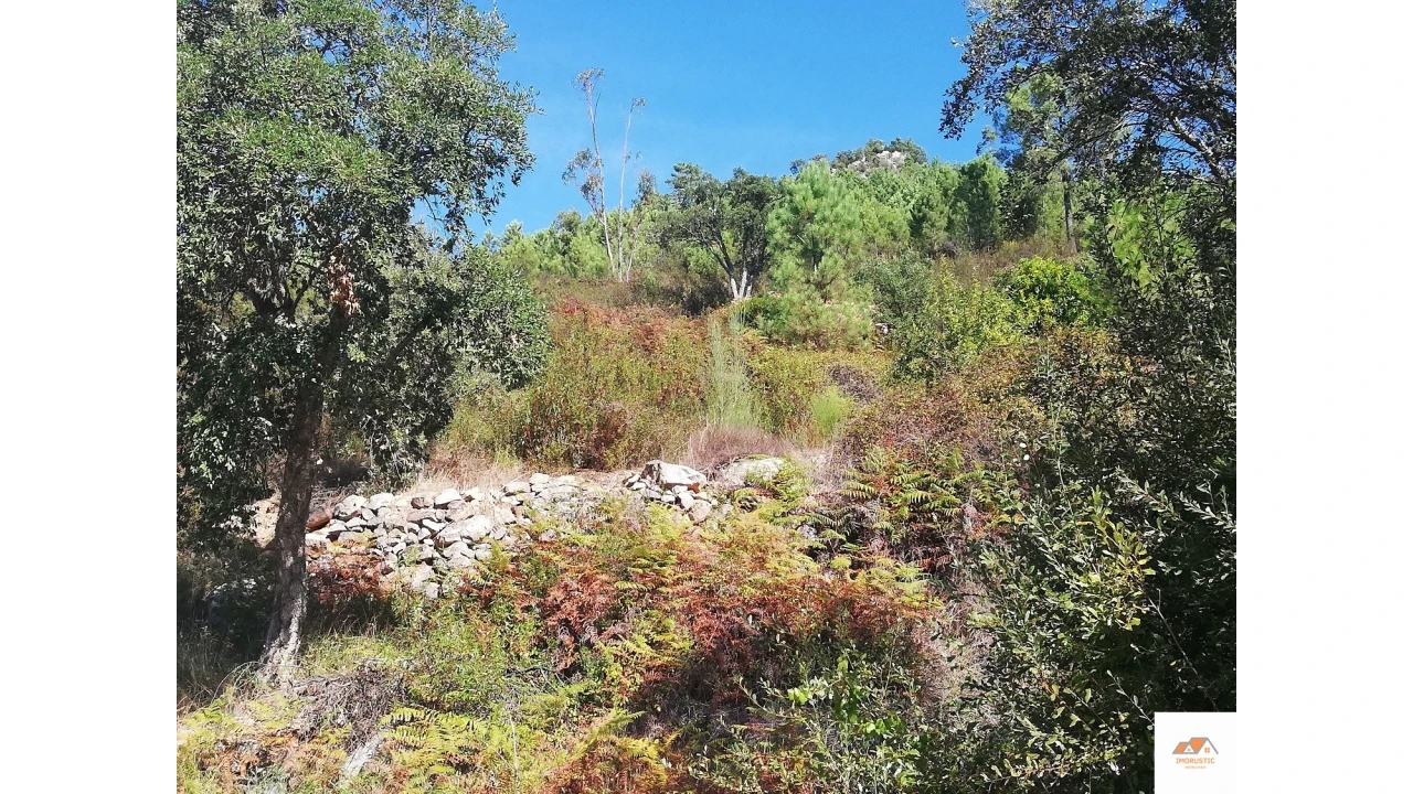 Terreno para Venda em Fratel Foto 14