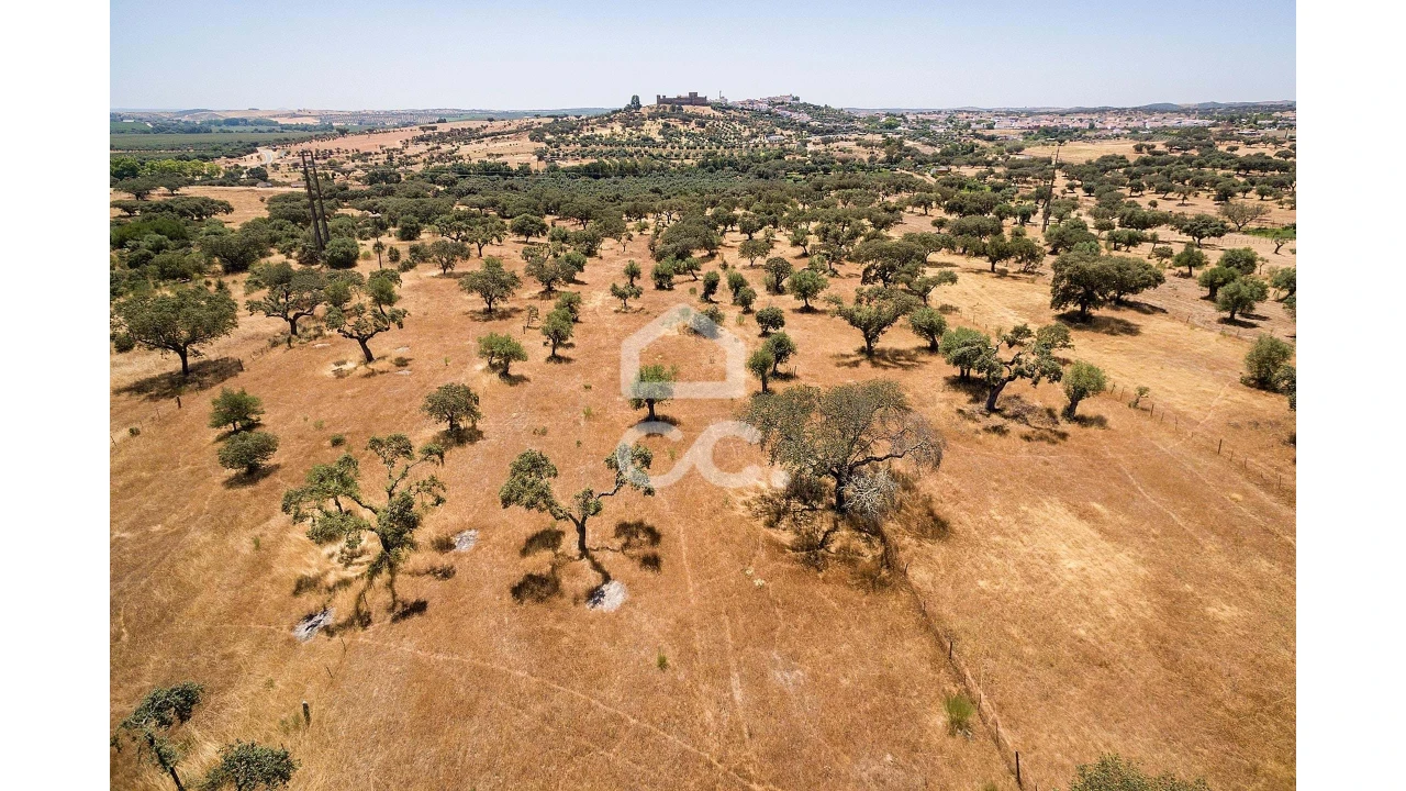 Terreno para Venda em Terena (São Pedro) Foto 10