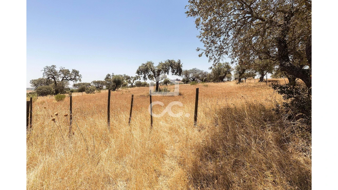 Terreno para Venda em Terena (São Pedro) Foto 7