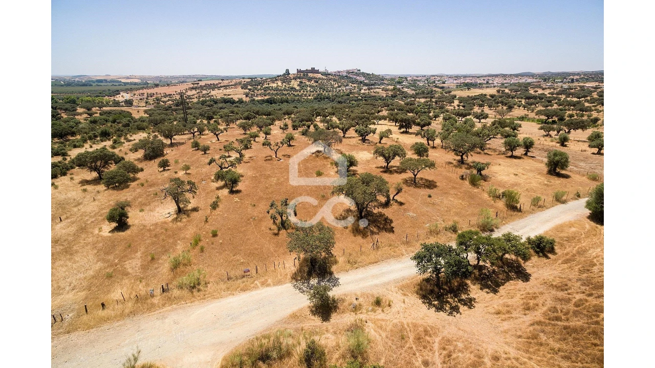 Terreno para Venda em Terena (São Pedro) Foto 3