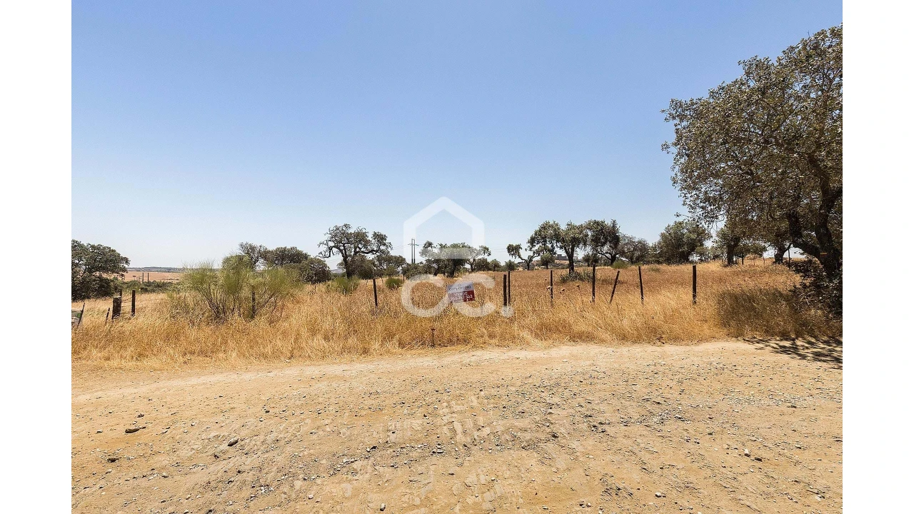Terreno para Venda em Terena (São Pedro) Foto 6