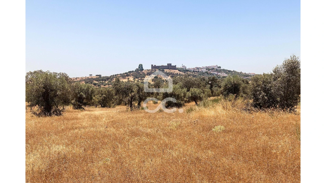 Terreno para Venda em Terena (São Pedro) Foto 8