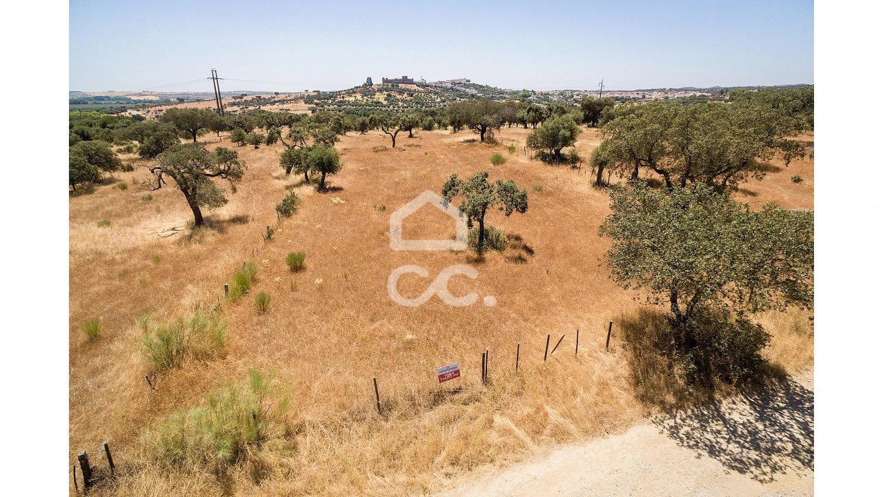 Terreno para Venda em Terena (São Pedro) Foto 1