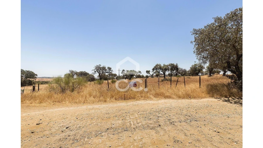 Terreno para Venda em Terena (São Pedro) Foto 6